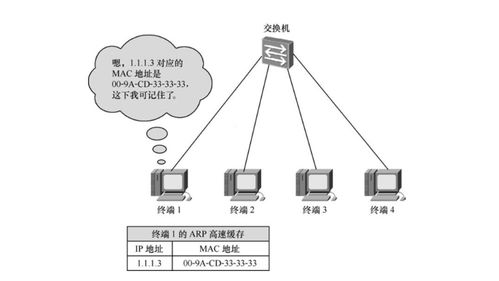 IPv4编址与子网划分 通信建立、验证及ICMP协议解析