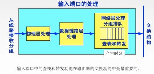网络层核心枢纽 路由器在计算机网络信息管理与服务中的关键角色