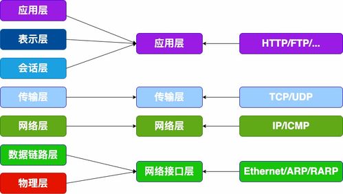 计算机网络的层次结构与信息管理服务
