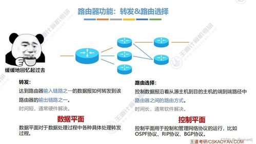 王道考研计算机网络第四章知识点汇总 计算机网络信息管理与服务