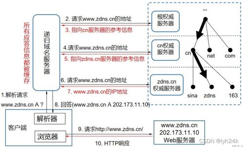 详解域名解析服务在计算机网络信息管理与服务中的作用