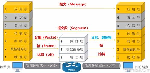 王道考研笔记整理 计算机网络体系结构与信息管理服务